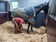 AK071124-103 - Alan King Stable Visit